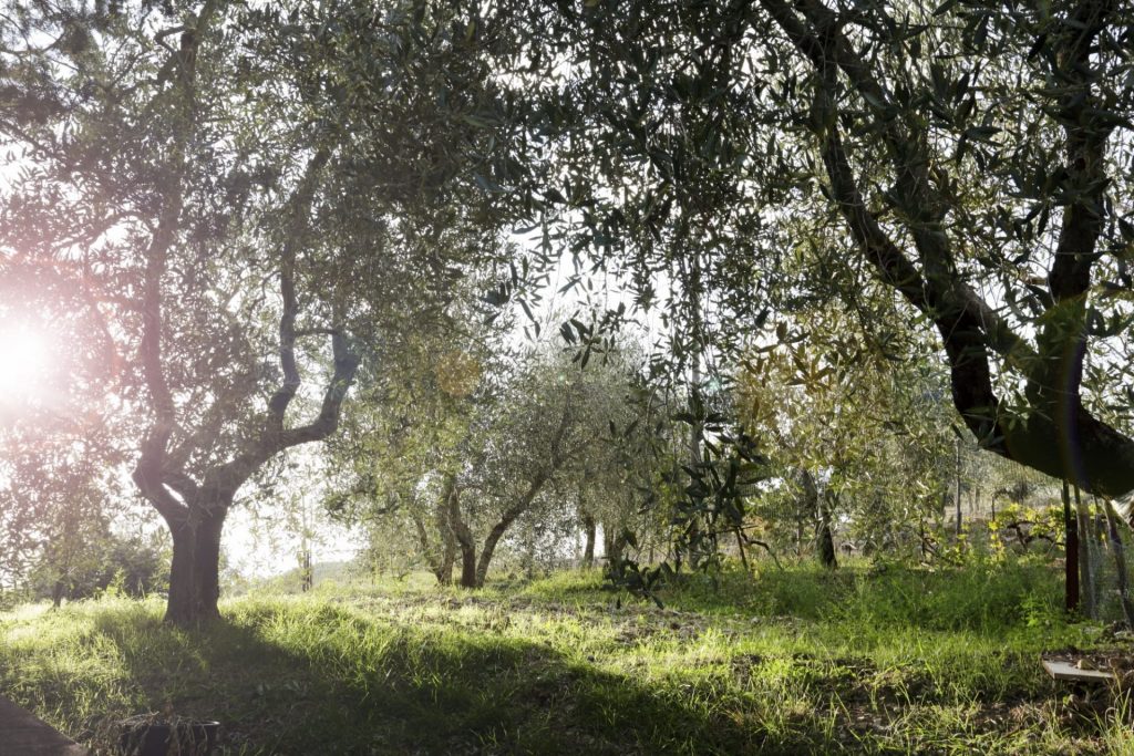Paesaggio