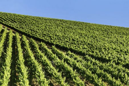 Paesaggio