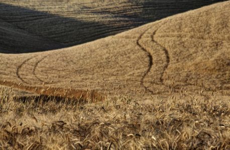 Paesaggio